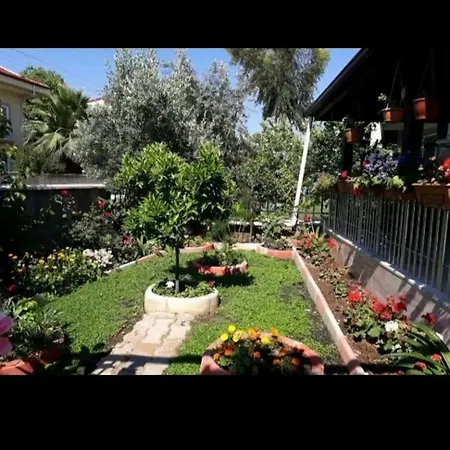 Villa Ces